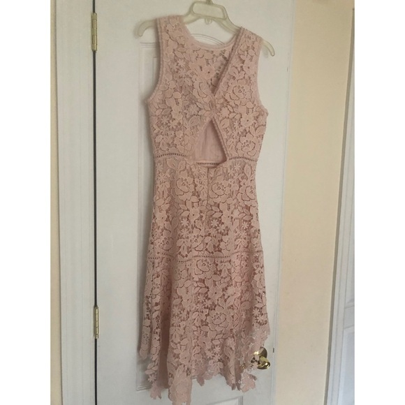 NWT Joie Lace Bridley High-Low Dress in Rosewater Size Small - Picture 8 of 8